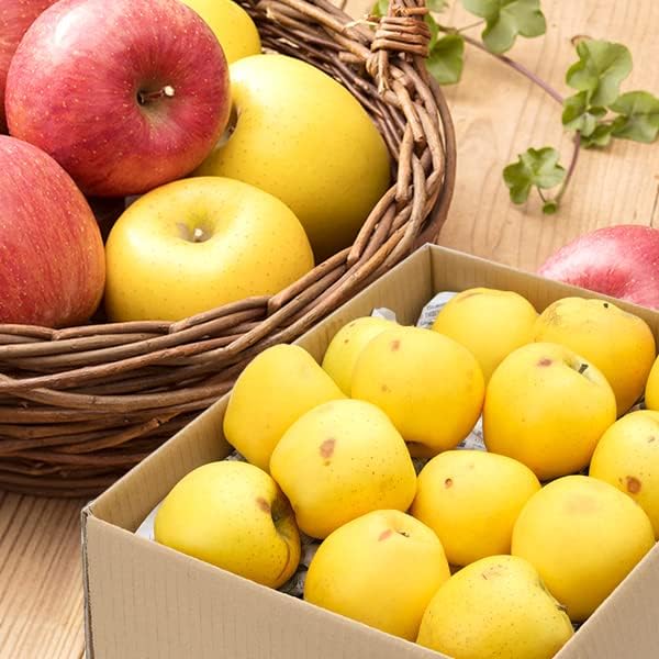 ❣️大特価❣️青森県産　シナノゴールド約10キロ 🍎強運を引き寄せるシナノゴールド🍎高糖度×柑橘系の酸味で富裕